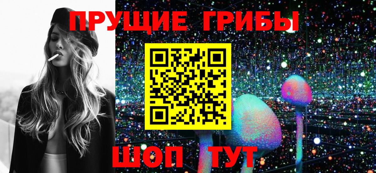 Ростов Великий  Галлюциногенные грибы прущие грибы  Вход с VPN 