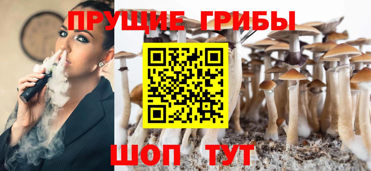 Псилоцибиновые грибы Psilocybine cubensis Ростов Великий